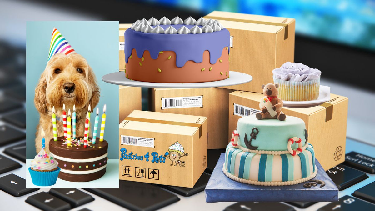 Dog cake order online best sale